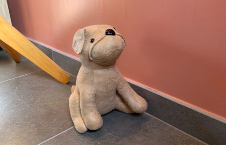 chien gîte 2026-05-31